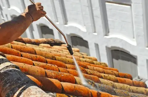 Nettoyage de toitures - Dugny